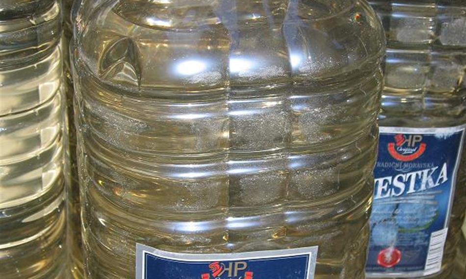 2010-12-29-1314chlast090710 007.jpg